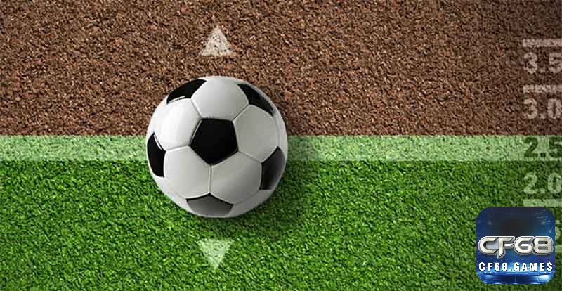 Người hâm mộ bóng đá Việt Nam phân tích kèo tài xỉu trước các trận đấu lớn như AFF Cup hay Champions League